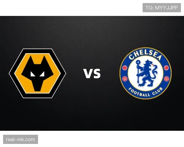 狼队英超表现抢眼，未来竞争力与潜力备受期待